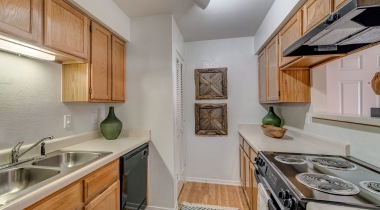 Energy Efficient, Black Kitchen Appliances at Our Las Colinas Apartments in Irving, TX