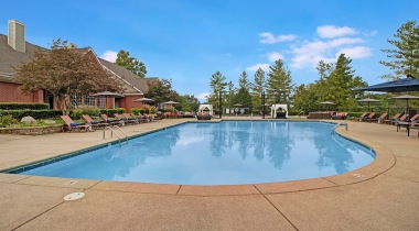 pool with lounge chairs