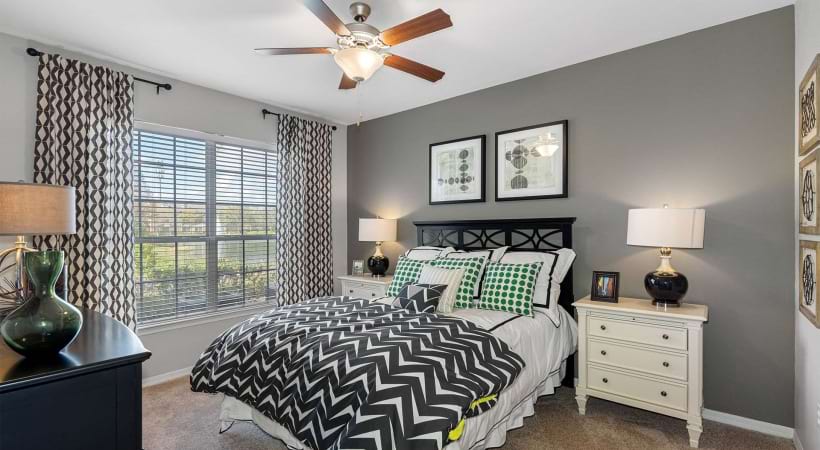 Bedroom with a Large Window in Our Apartments by Busch Gardens