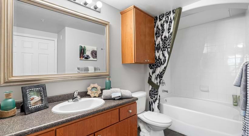 Bathroom with Granite Countertops in Our Apartments for Rent in Hillsborough County