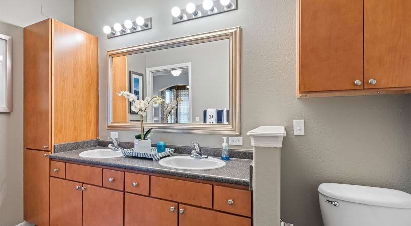 Bathroom in Our Apartments for Rent Near USF in Tampa