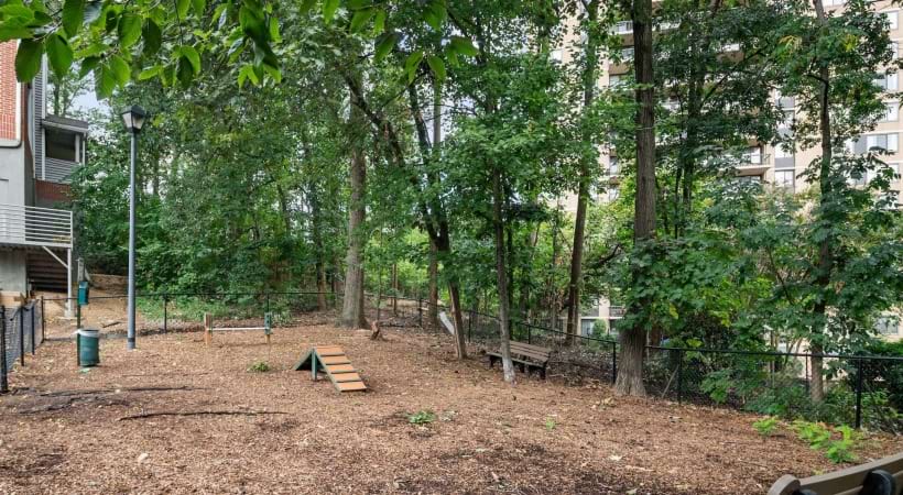 Leash-Free Bark Park at Our Apartments Near the Van Dorn Metro