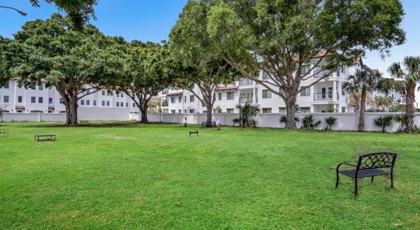 Leash-Free Dog Park at Our Tampa Bay Luxury Apartments
