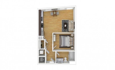 Carlisle Studio Apartment in NoDa for Rent